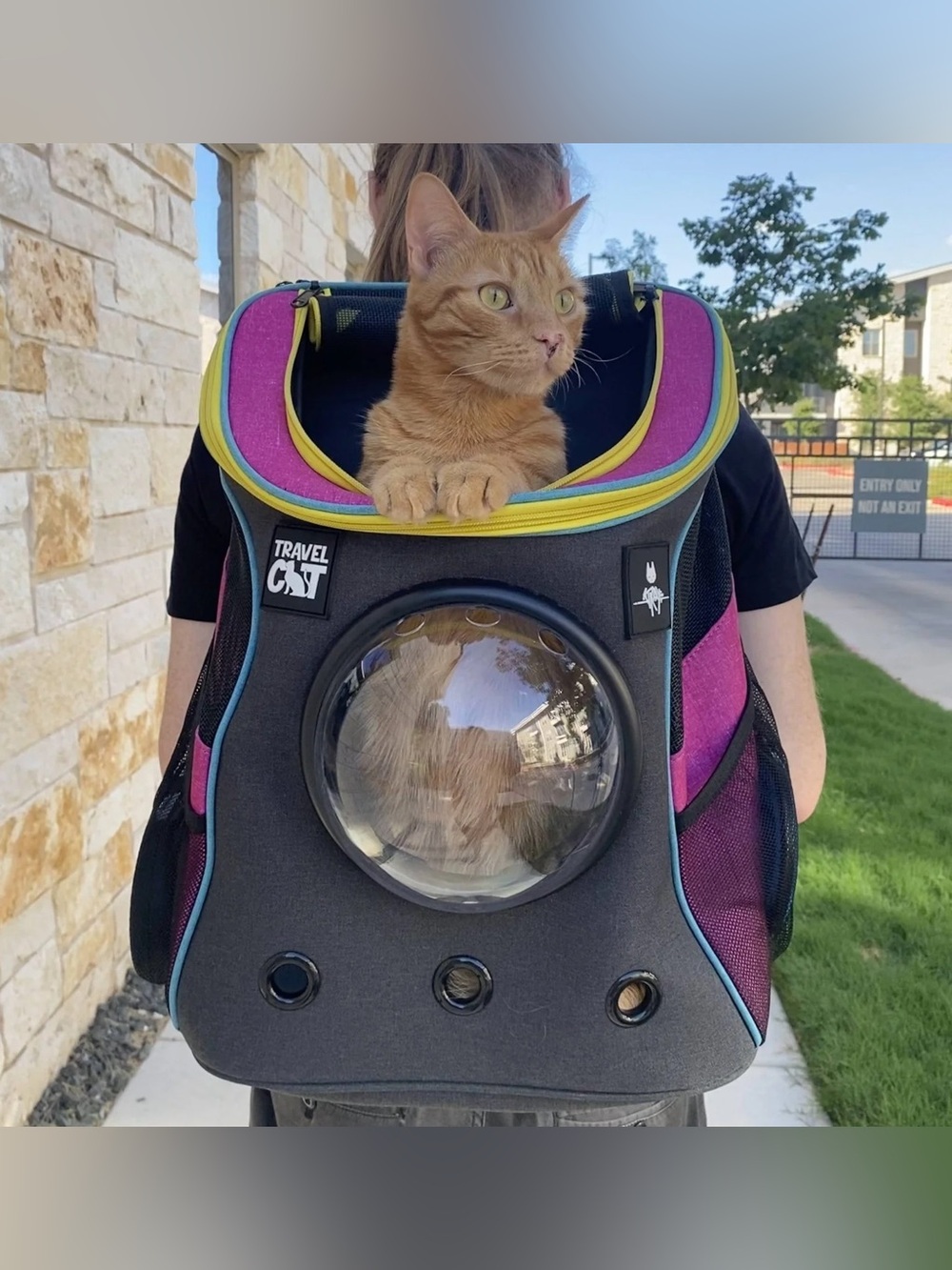 ravel Bubble Backpack Pet Carrier in Pink & Lime Accents